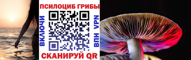 MEGA   Ардатов  Галлюциногенные грибы Cubensis 